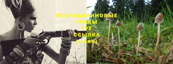 таблы Абаза