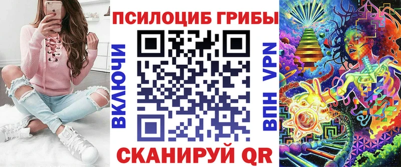 Псилоцибиновые грибы Cubensis  Талдом 